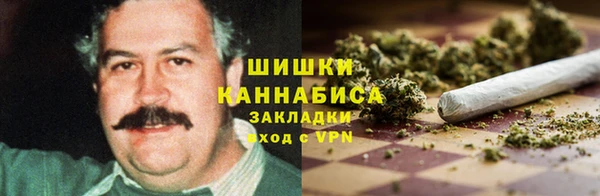 Альфа ПВП Пересвет