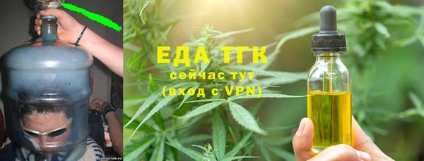 винт Галич