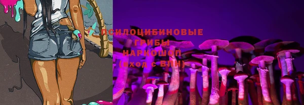 герыч Осинники