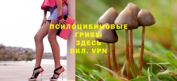 винт Переславль-Залесский