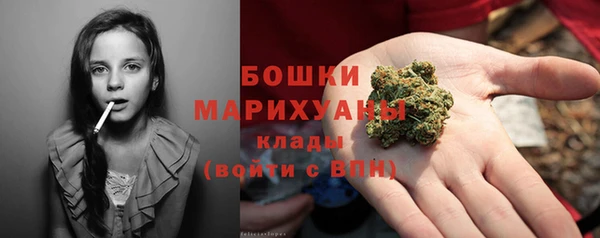 Альфа ПВП Пересвет