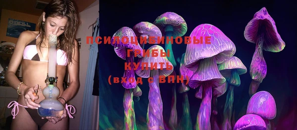 герыч Осинники