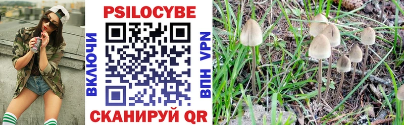 Псилоцибиновые грибы мицелий  Инсар 