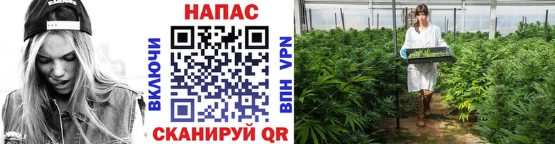 гидра маркетплейс  shop клад  Канабис VHQ  Инсар 